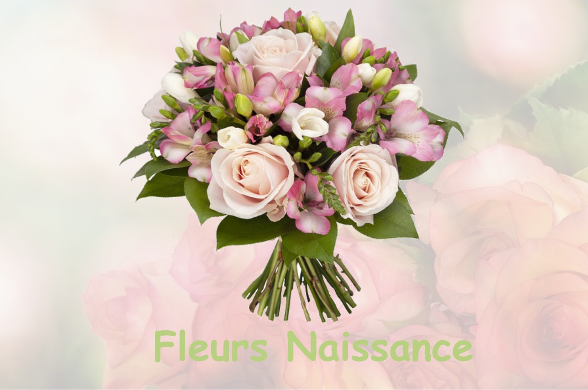 fleurs naissance MARTRES-SUR-MORGE